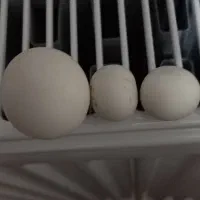 سنگ الماس آسیاب