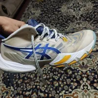 کفش والیبال|کیف، کفش، کمربند|ارومیه, |دیوار