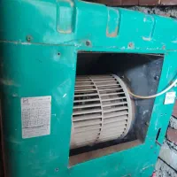 فروش کولرابی