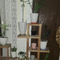 استند چوبی بزرگ فقط۸۰۰تومن