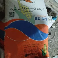 ذرت هیبرید ۶۷۸