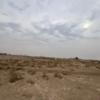 زمین باغی کشاورزی گلخانه دامداری