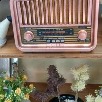 رادیو|سیستم صوتی خانگی|مشهد, ایثار|دیوار