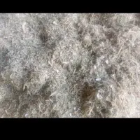 فروش کاه لوبیا سفید و چیتی