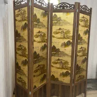 پارتیشن پاراوان