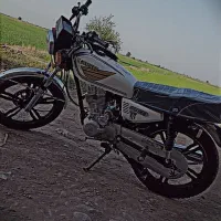 باک موتور پرطلایی