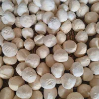 برای اولین بار در بم|حراج|بم, |دیوار