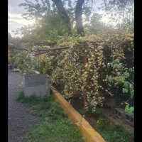 استخدام سرایدار باغ جوپار|استخدام سرایداری و نظافت|ماهان, |دیوار