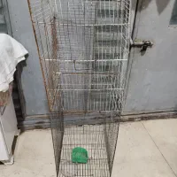 قفس پرنده