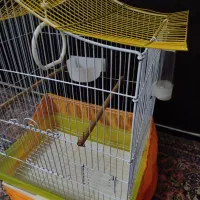 قفس پرنده|لوازم جانبی حیوانات|ری, دیلمان|دیوار