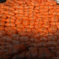 فروش کاه به قیمت عمده