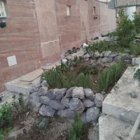 خدمات‌ حرفه ای باغبانی،باغچه‌کاری،تعویض‌خاک‌گلدان|خدمات باغبانی و درختکاری|تهران, زرگنده|دیوار
