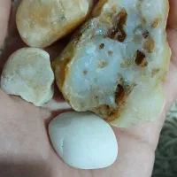 سنگ|کلکسیون اشیاء عتیقه|شیراز, شهرک مهدی‌آباد|دیوار