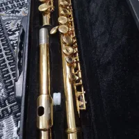 فلوت کلیدار|سازهای بادی|تهران, بهداشت|دیوار