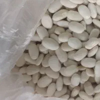 لوبیا سفید پاک کرده  وتمیزفریدن.فقط نقدی