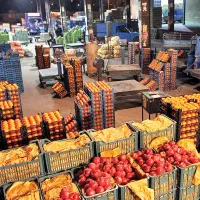 پخش انواع میوه و سبزیجات از میدان مرکزی تره بار