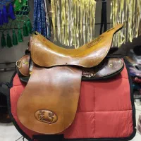 تجهیزات اسب