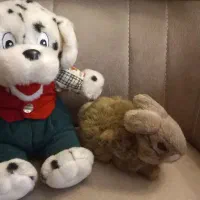 عروسک|اسباب‌بازی بچه|تهران, الهیه|دیوار