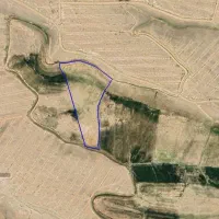 زمین کشاورزی روستای دانالو