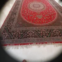 قالی و کلر آبی|فرش|کرمان, |دیوار