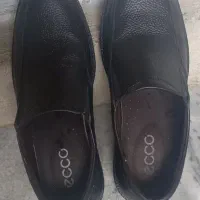 کفش سایز ۴۲و۴۳ در حد نو
