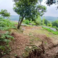 فروش ۱۹۱ متر زمین سند دارویی ابدی