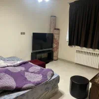 قصرالدشت جنگلی/شیک و مرتب/تکواحدی/تاپ لوکیشن|اجارهٔ آپارتمان|شیراز, میرزاکوچک خان|دیوار