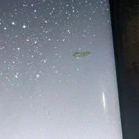 s8. edge|موبایل|گلبهار, شهر جدید گلبهار|دیوار