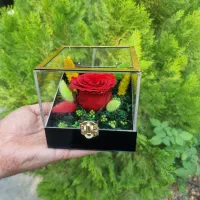 گل رز جاویدان تمام پلکسی در انواع رنگ ها کد ۶۱|گل و گیاه طبیعی|تهران, میدان ولیعصر|دیوار