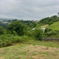 زمین ویودار،280 متر،مناسب کلبه چوبی|فروش زمین و ملک کلنگی|مرزیکلا, |دیوار