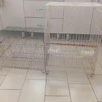 دو عدد قفس لطفا متن پایین را بخوانید