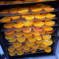 میوه و گوشت خشک کن صنعتی 10 الی 100 کیلویی شرکتی|سایر لوازم برقی|کرمانشاه, |دیوار