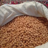 نخود دیم امسال قره داغ ۸و۹