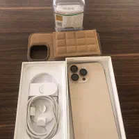 ۱۶ پرومکس ،ریجستر شده