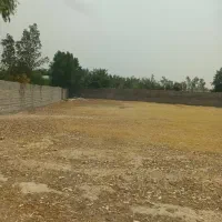 ۲۲۰ متر زمین لب جاده اصلی اب محک