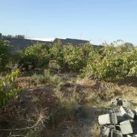 قواره-ویلایی