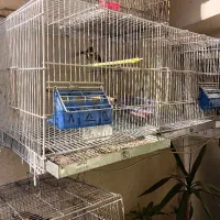 قفس پرون اردشیر|لوازم جانبی حیوانات|تهران, فلاح|دیوار