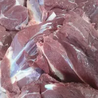 گوشت البرز گوشت خورشتی گوساله گوسفندی