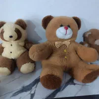 تعدادی عروسک خرس