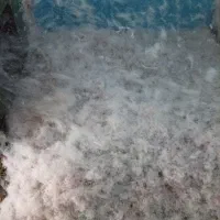 عدل|رختخواب، بالش، پتو|مشهد, مقدم|دیوار