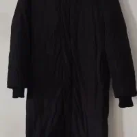 پالتو