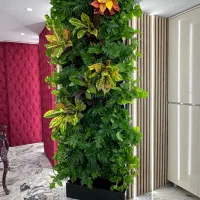 گرین وال و دیوار سبز طبیعی مصنوعی