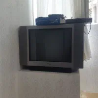 تلویزیون