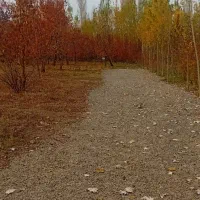 باغ گیلاس تکدانه تپه باشی|فروش زمین و ملک کلنگی|فیرورق, |دیوار