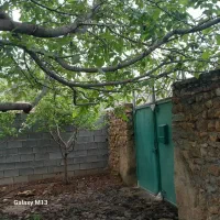 فروش باغچه(زمین مسکونی روستایی) در ۱۸Km کرمانشاه|فروش زمین و ملک کلنگی|کرمانشاه, |دیوار