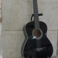 *گیتار دیاموند*