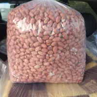 بادام  زمینی