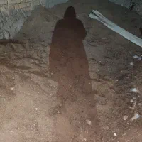 کود حیوانی گوسفند شهرک رکنآباد