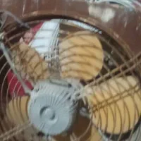 هواکش