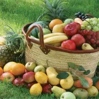 نیاز به یک فروشنده